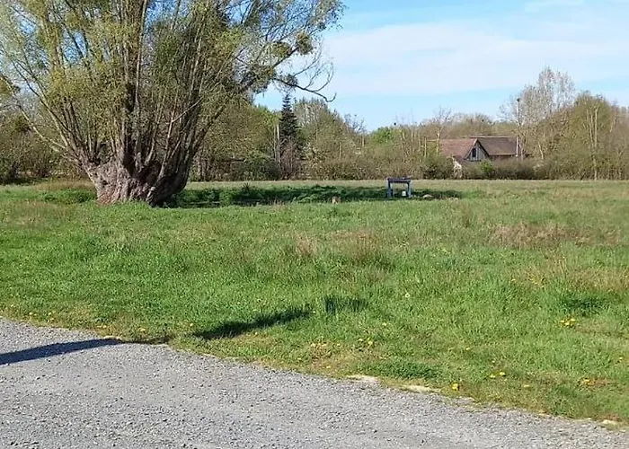 Emplacement Tente Proche D'une Mare . Beaufay